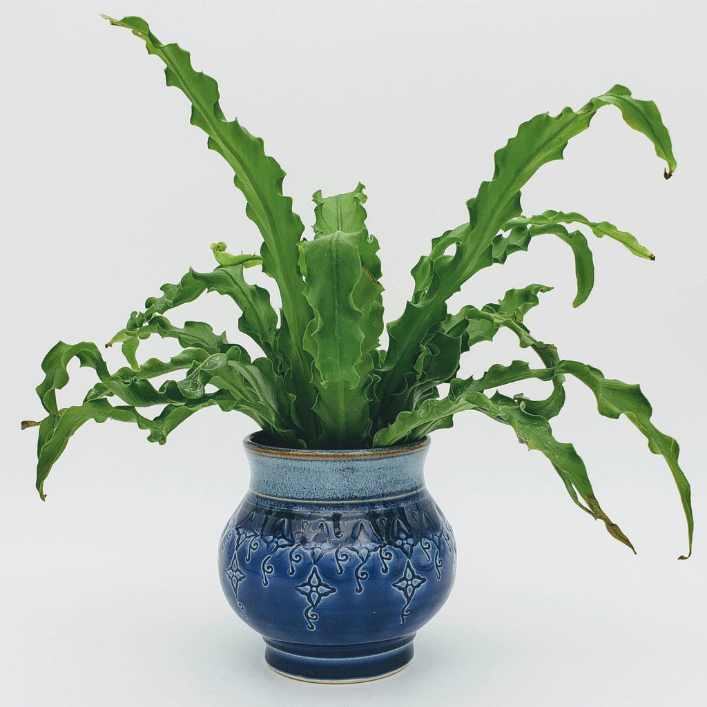 Large Tabletop Planter - Handmade Pottery Planter - MTO