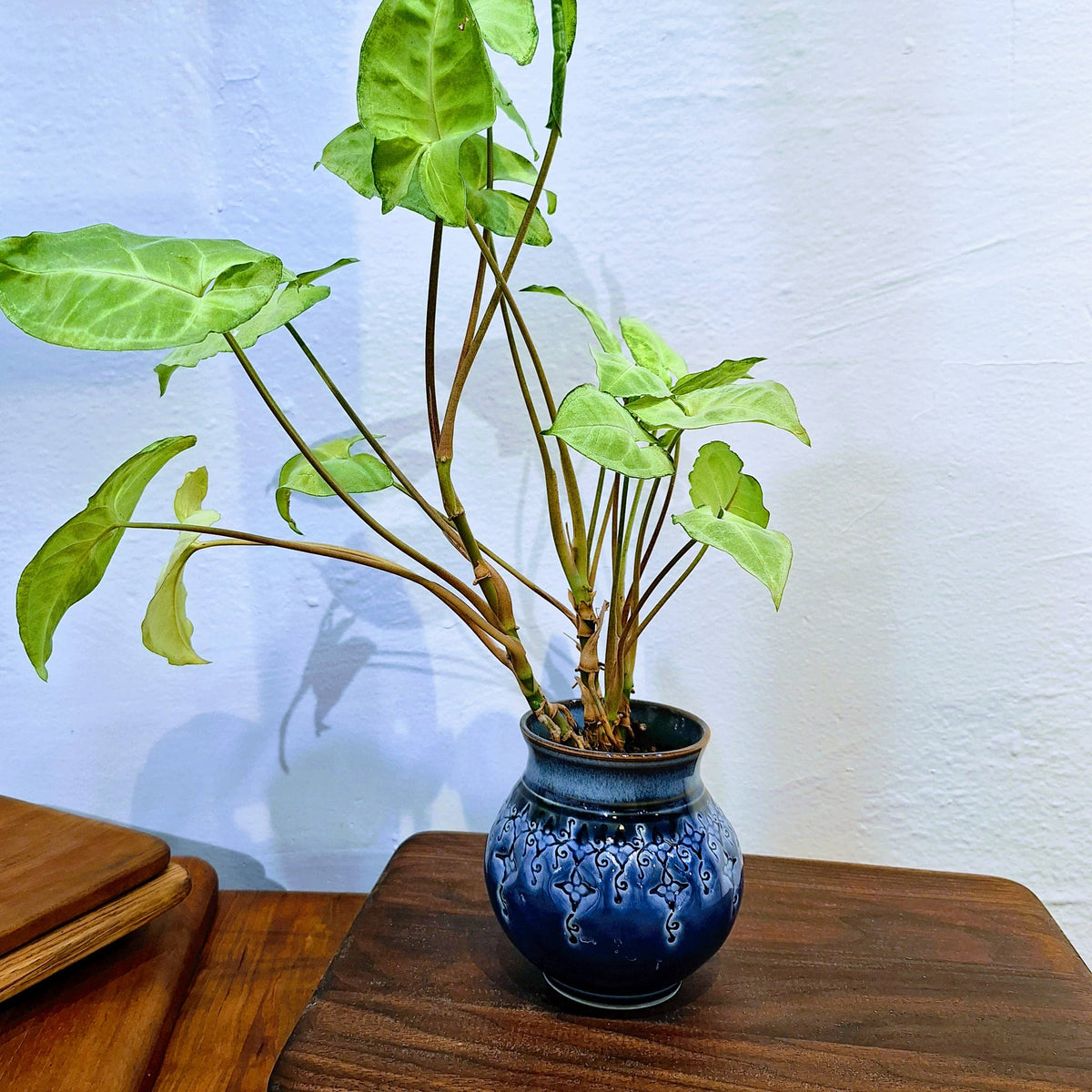 Large Tabletop Planter - Handmade Pottery Planter - MTO